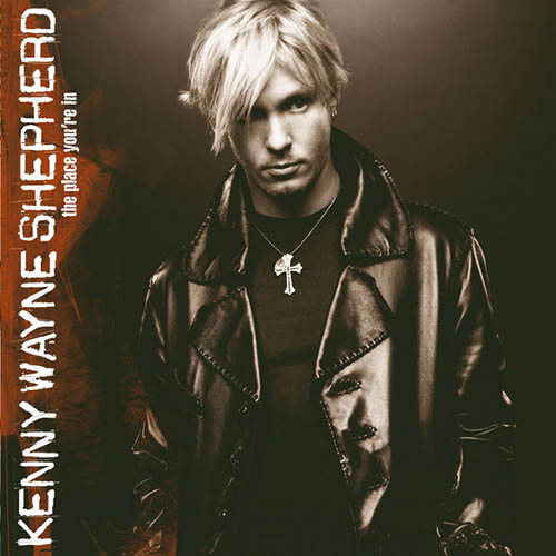 cover: Believe, Kenny Wayne Shepherd, Gitarre