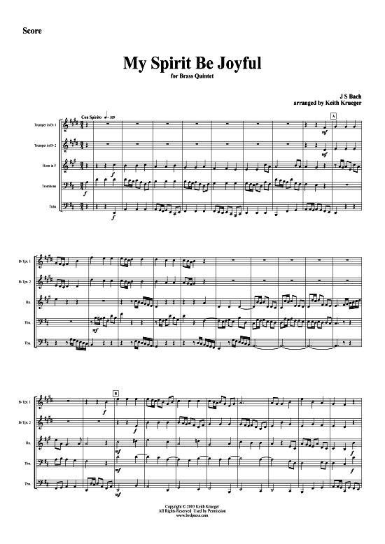 Produktbild zu: Wir müssen durch viel Trübsal (My Spirit Be Joyful) J. S. Bach (arr. Krueger), BWV 146