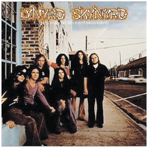 cover: Tuesday's Gone, Lynyrd Skynyrd, Gitarre