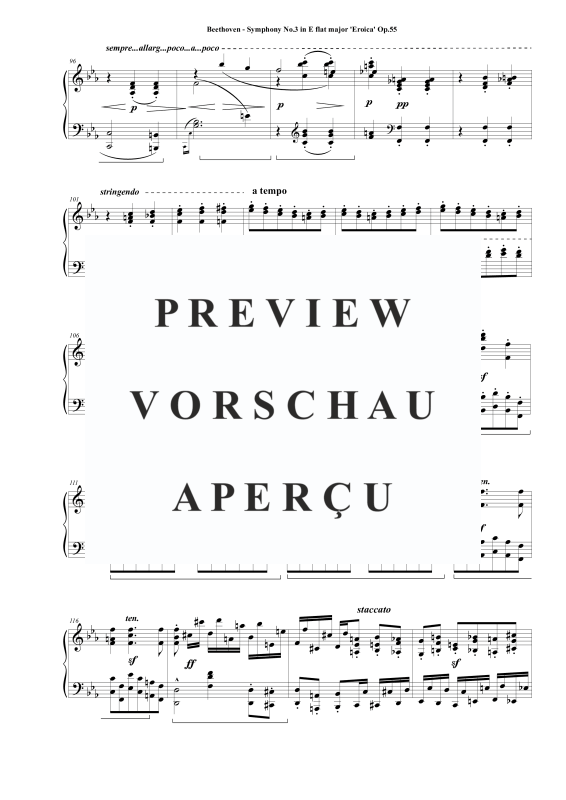 Produktgalerie: Seite 6 von 11 Symphony No.3 in E flat major ´Eroica´ Op.55 - Piano Version (Arr.Liszt), , Klavier Solo