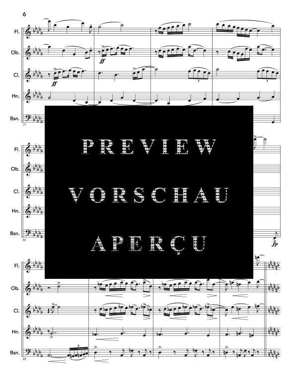 Produktgalerie: Seite 10 von 11 TAnGoRmAcIóN, , (Holzbläser Quintett)