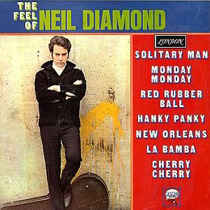 cover: Cherry, Cherry, Neil Diamond, Gitarre