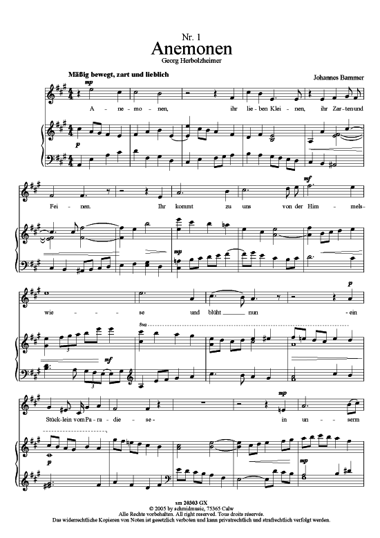 Product picture to: 25 Kinderlieder Band I Johannes Bammer