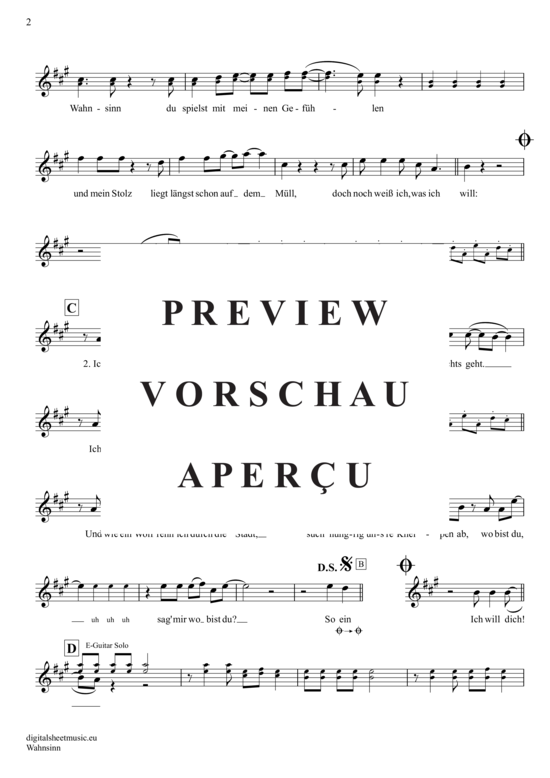 gallery: Wahnsinn , Petry, Wolfgang, (Querflöte)