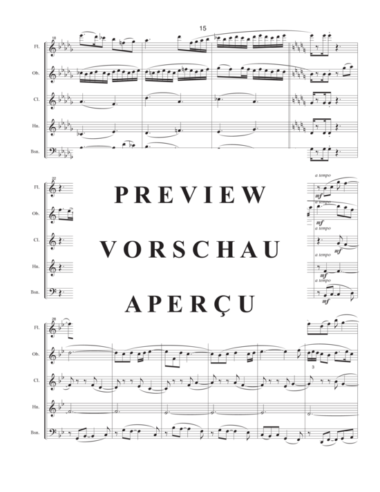 Produktgalerie: Seite 18 von 21 Five Stars , , (Holzbläser Quintett)