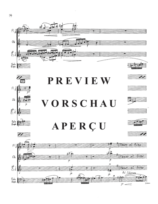 Produktgalerie: Seite 16 von 21 Concertino , , (Gemischtes Ensemble 2x Flöte, Oboe, 2x Klarinette +Euphonium Solo)