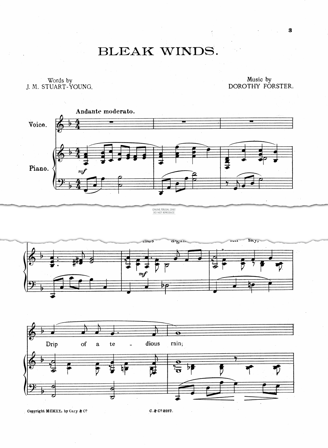 Produktgalerie: Seite 1 von 1 Bleak Winds, Dorothy Forster, Gesang, Klavier