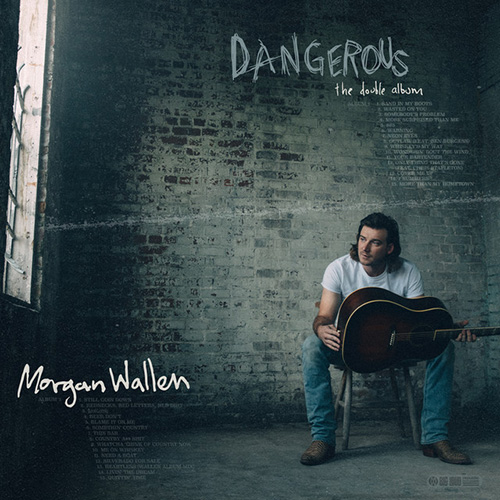 cover: Wasted On You, Morgan Wallen, Gitarre