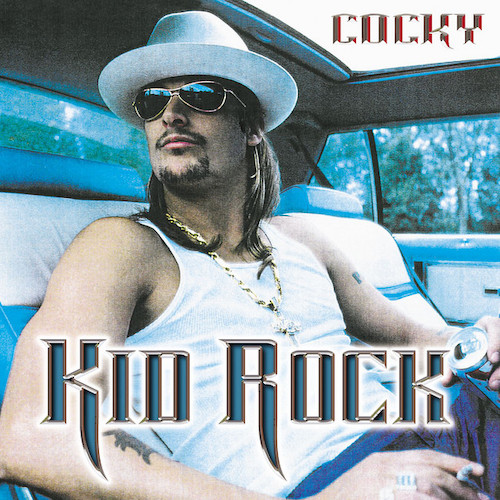 cover: Picture (feat. Sheryl Crow), Kid Rock