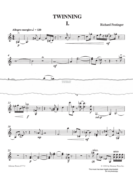 gallery: Twinning, Richard Festinger, Klavier, Violine