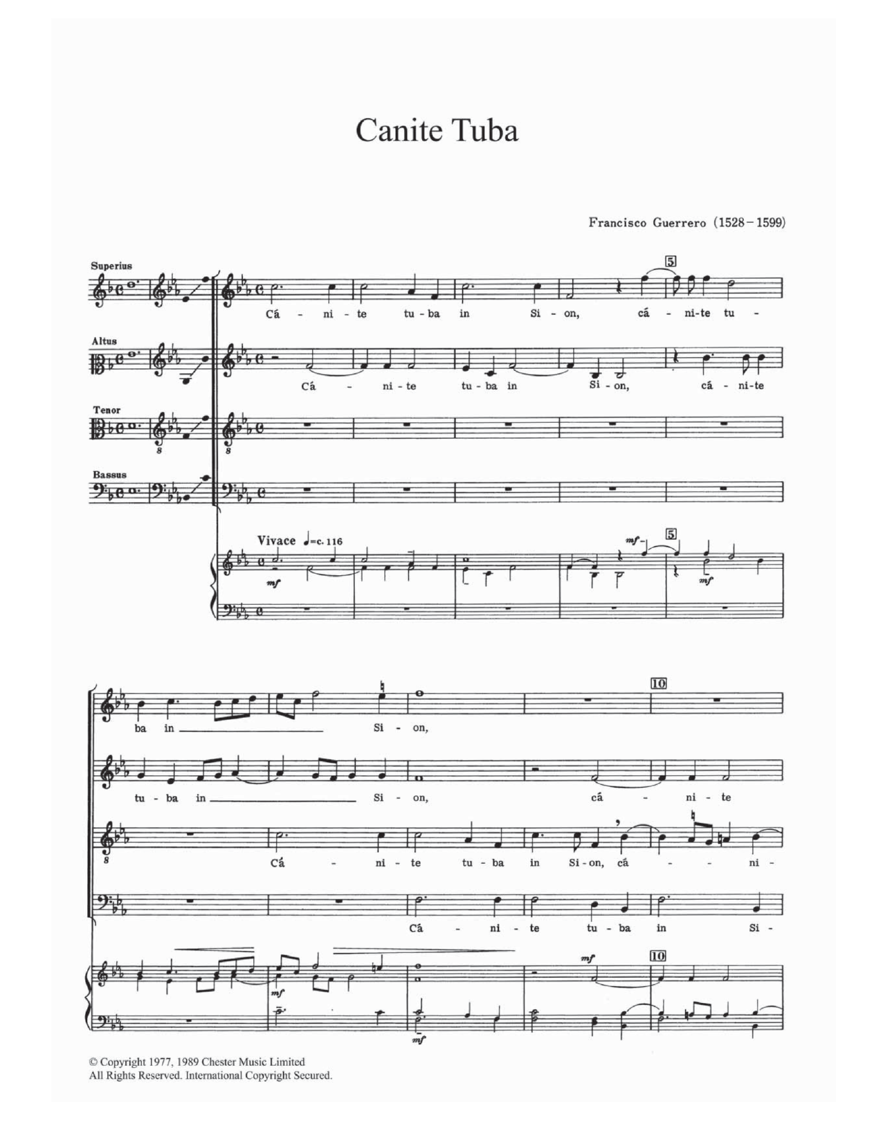 Produktbild zu: Canite Tuba