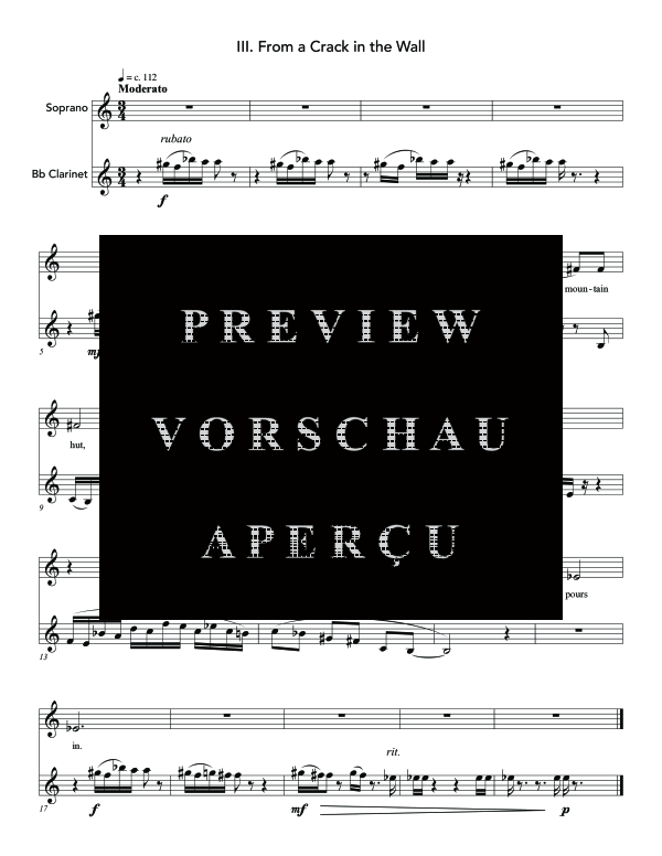 Produktgalerie: Seite 10 von 11 From a Crack in the Wall, , (Sopran und Klarinette)