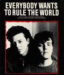 cover: Everybody Wants To Rule The World, Tears For Fears, Gesang, Gitarre, Klavier