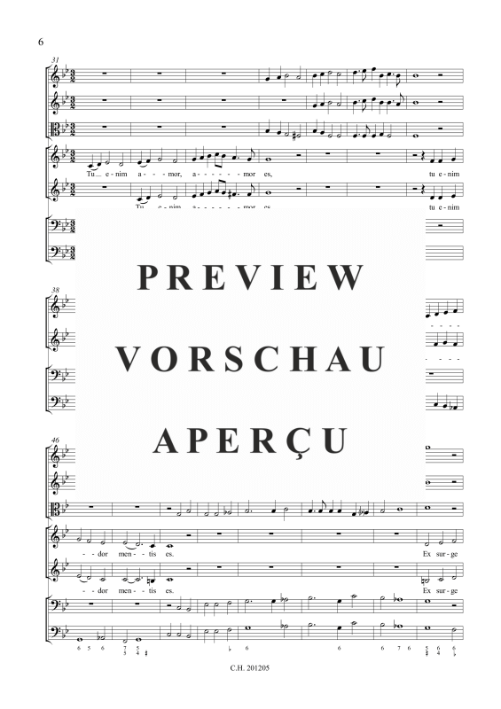 gallery: O dulcissime Salvator, , (Gemischtes Ensemble 2 Alto, 2 Violinen, Viola, Fagott und Orgel)