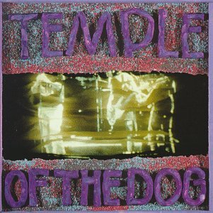 cover: Hunger Strike, Temple Of The Dog, Gitarre