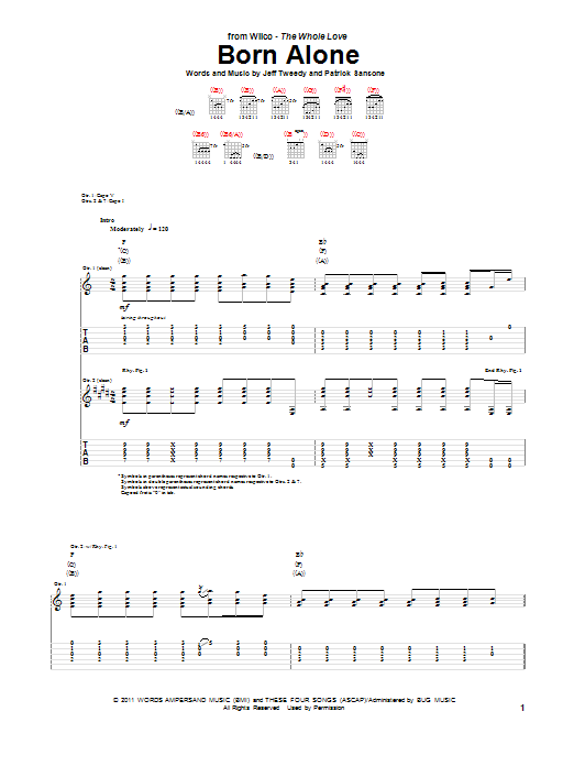 Produktgalerie: Seite 1 von 1 Born Alone, Wilco, Gitarre