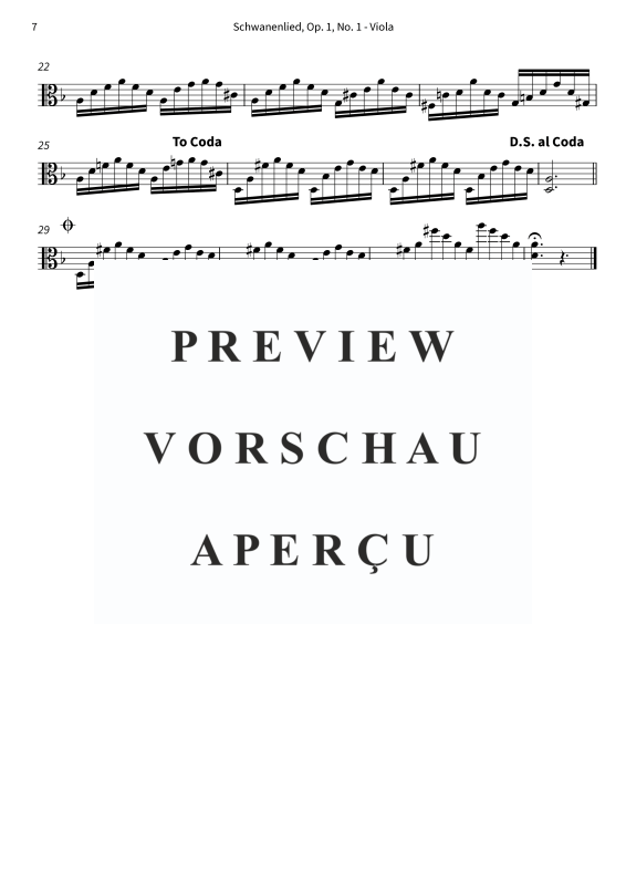 gallery: Schwanenlied, The Twiolins, (Klavier Solo)