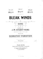 Produktbild zu: Bleak Winds
