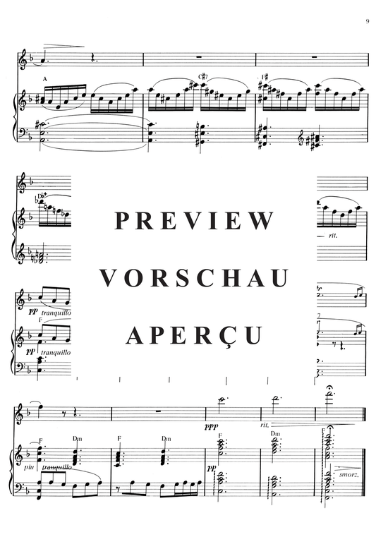 gallery: Berdien Sternberg - 9 Titel für Klavier + Querflöte, , 