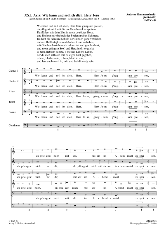 Wie kann und soll ich dich, Herr Jesu (Aria) 