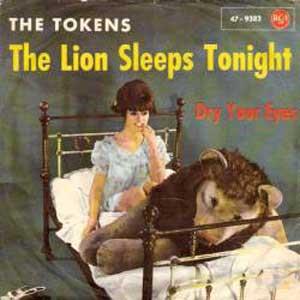cover: The Lion Sleeps Tonight, Robert John, Tokens, Gesang, Gitarre, Klavier