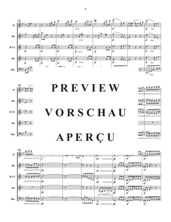Produktgalerie: Seite 10 von 21 Quintette Pour Instruments a Vent , , (Holzbläser-Quintett)