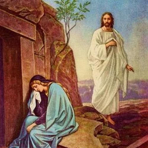 cover: They Took My Lord Away, Douglas Nolan