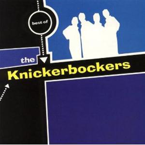 cover: One Track Mind, The Knickerbockers, Gitarre
