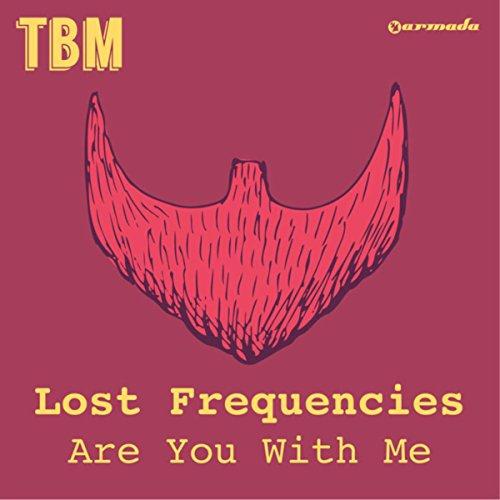 cover: Are You With Me, Lost Frequencies, Gesang, Gitarre, Klavier