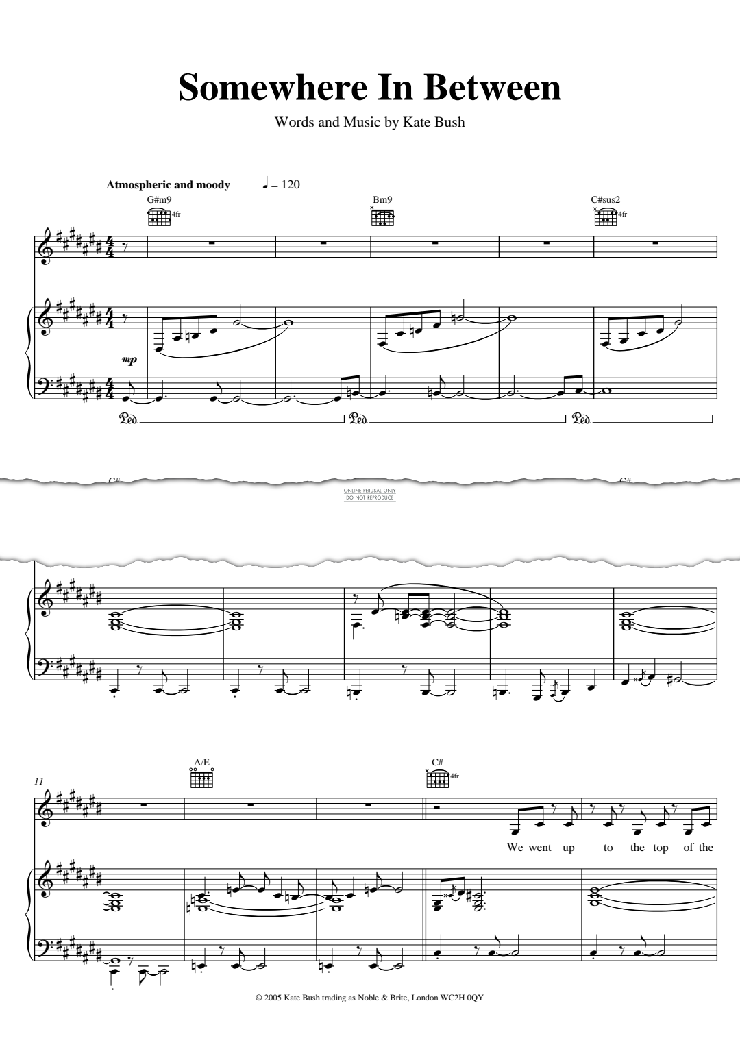 Produktbild zu: Somewhere In Between