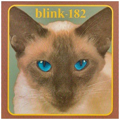 cover: M&M, Blink-182, Gitarre