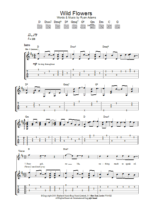 Produktgalerie: Seite 1 von 1 Wild Flowers, Ryan Adams, Gitarre