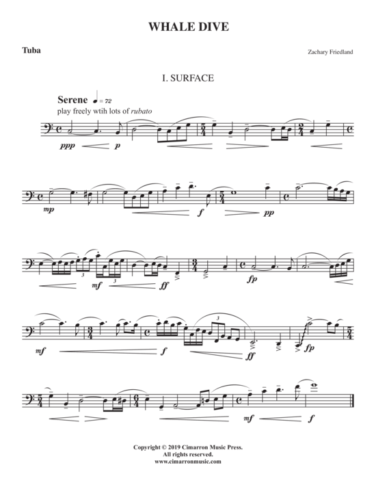 Product picture to: Whale Dive Zach Friedland