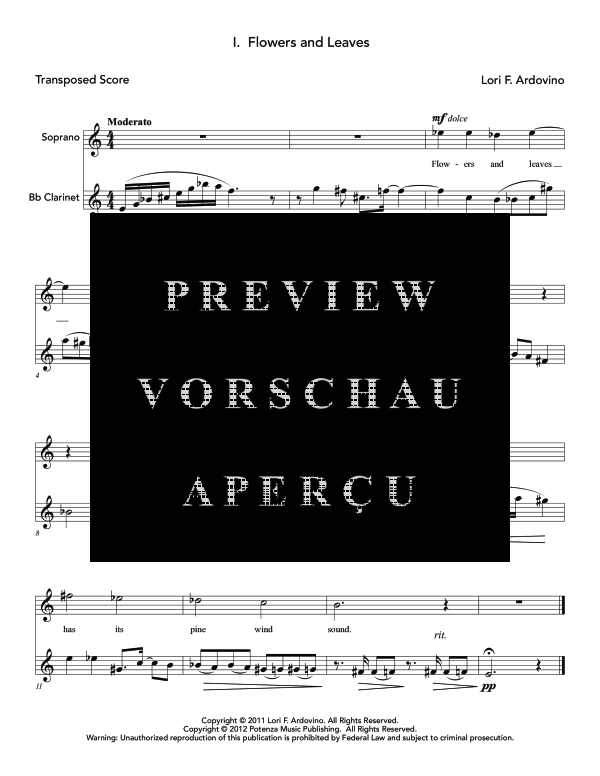Produktgalerie: Seite 7 von 11 From a Crack in the Wall, , (Sopran und Klarinette)