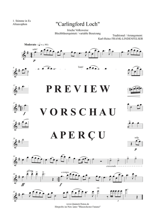 Produktgalerie: Seite 9 von 17 Carlingford Loch , Blasorchester Fatamo, (Blechbläser Quintett - flexible Besetzung)