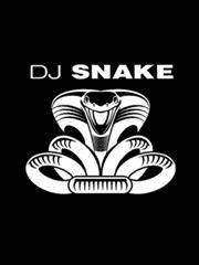 cover: Talk, DJ Snake, Gesang, Gitarre, Klavier