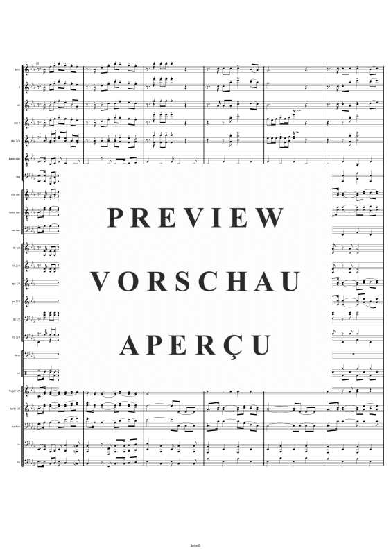 gallery: Gruß an Bad Füssing, , Großes Blasorchester