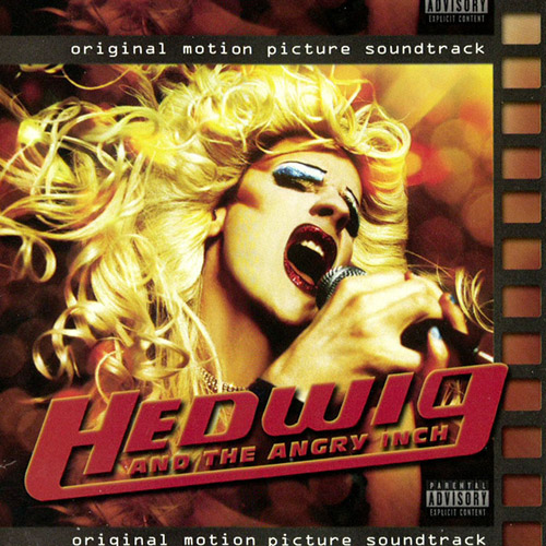 cover: Wicked Little Town (Reprise), Stephen Trask, Gesang, Gitarre, Klavier