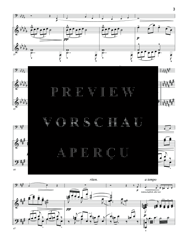 gallery: Urlicht, , (tuba and piano)