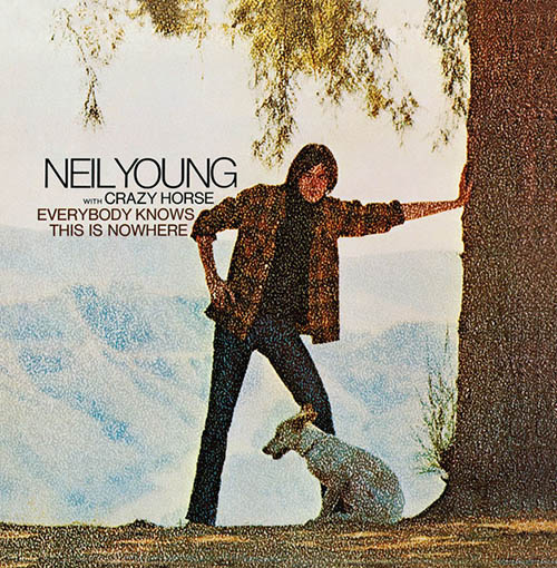 cover: Down By The River, Neil Young
