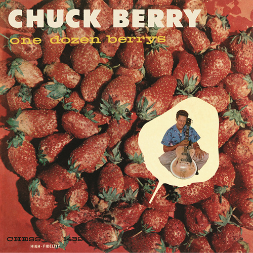 cover: Rock And Roll Music, Chuck Berry, Gitarre
