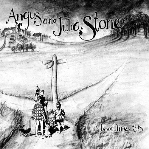 cover: Silver Coin, Angus & Julia Stone, Gitarre