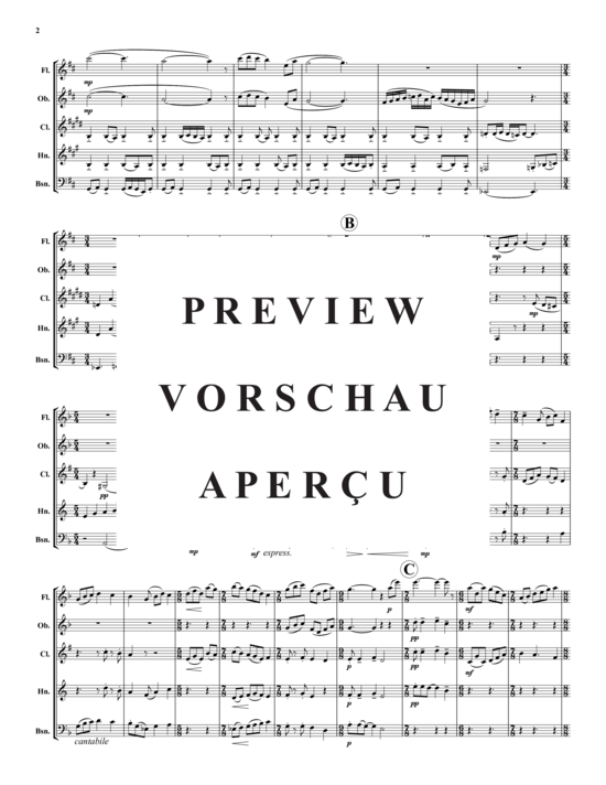 Produktgalerie: Seite 3 von 21 The Chambers of Hemera , , (Holzbläser-Quintett)