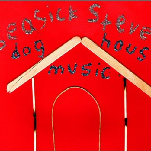 cover: Dog House Boogie, Seasick Steve, Gitarre