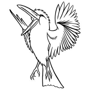 Produktbild zu: The Kookaburra Laughed