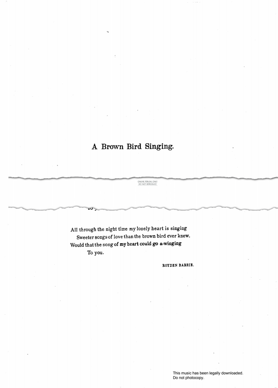 Product picture to: A Brown Bird Singing