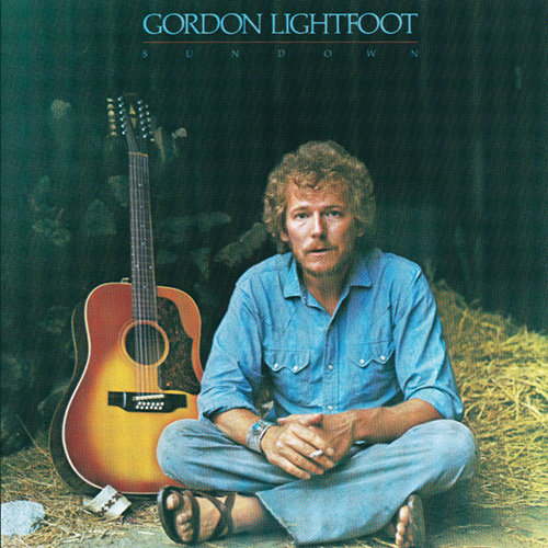 cover: Sundown, Gordon Lightfoot, Gitarre