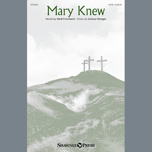 cover: Mary Knew, Joshua Metzger
