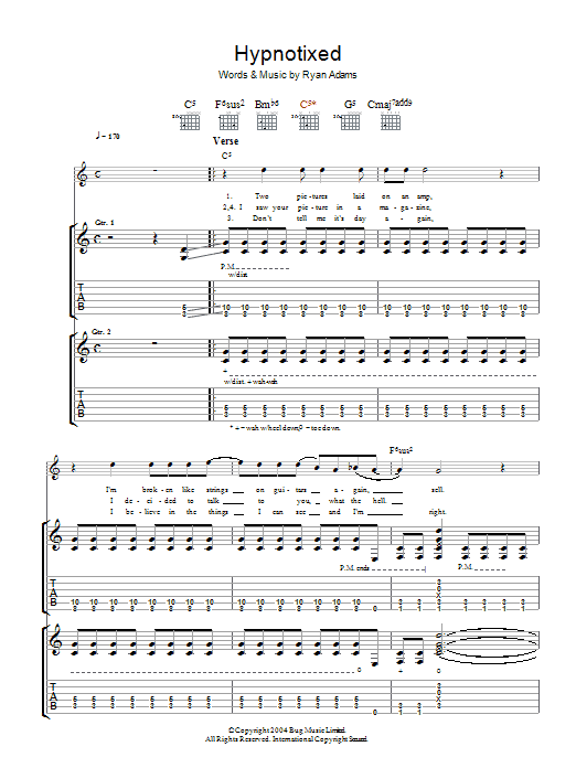 Produktgalerie: Seite 1 von 1 Hypnotixed, Ryan Adams, Gitarre