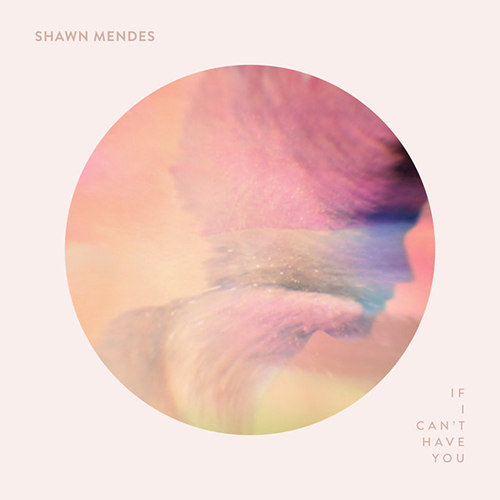 cover: If I Can't Have You, Shawn Mendes, Gitarre